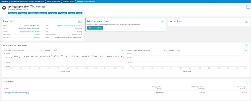 Overview of a Kubernetes pod Dynatrace screenshot