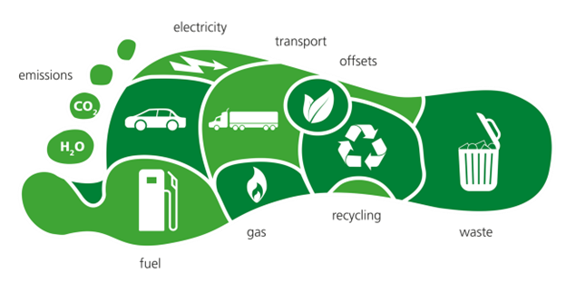 Carbon footprint graphic