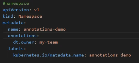 Figure 2. Example of a Namespace Definition with an ownership team assigned via annotations