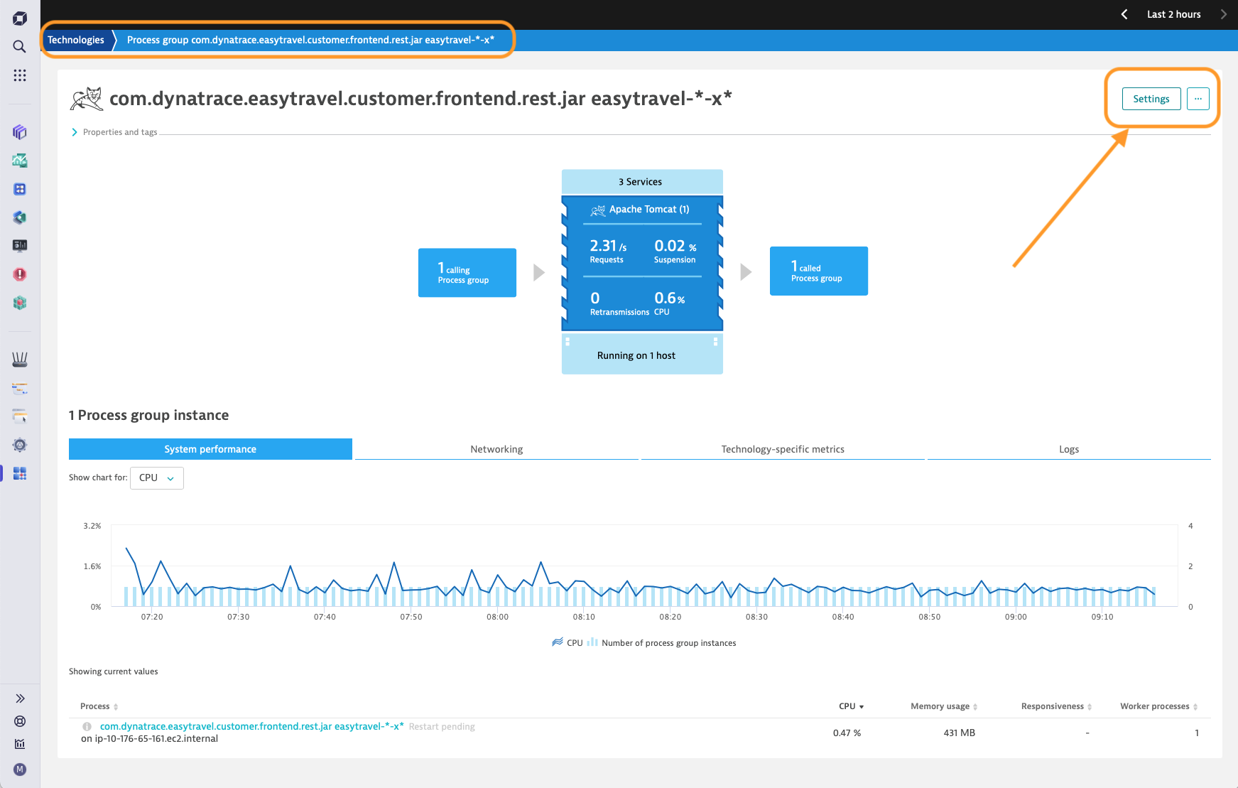 Process group instance screenshot in Dynatrace