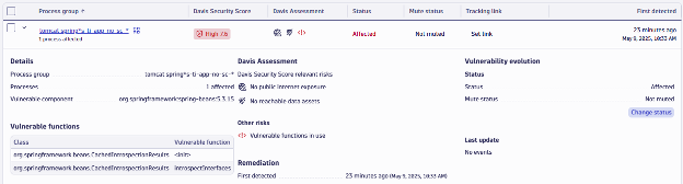 Container with the Spring4Shell vulnerability in Dynatrace Vulnerabilities App