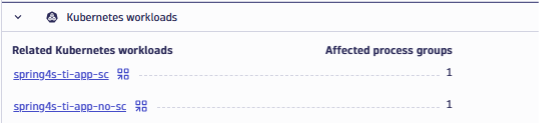 From the Vulnerabilities App, we know exactly which Kubernetes workloads are affected by the Spring4Shell vulnerability.